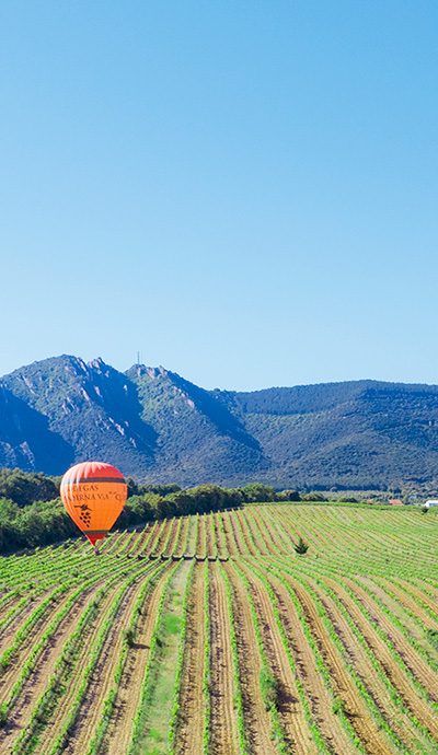 Bodegas y Vinedos Quaderna Via