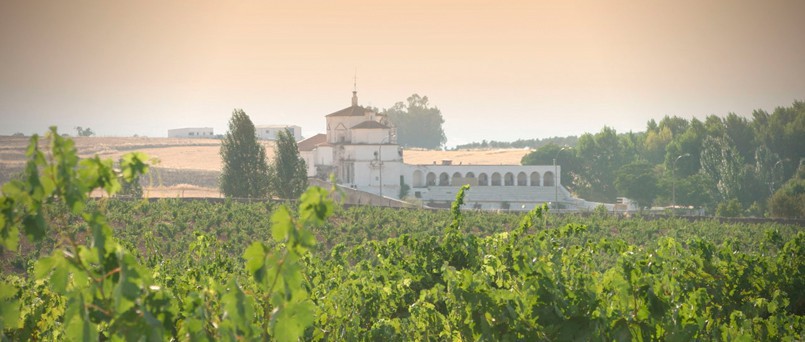 Bodegas y Viñedos Alonso Toribio