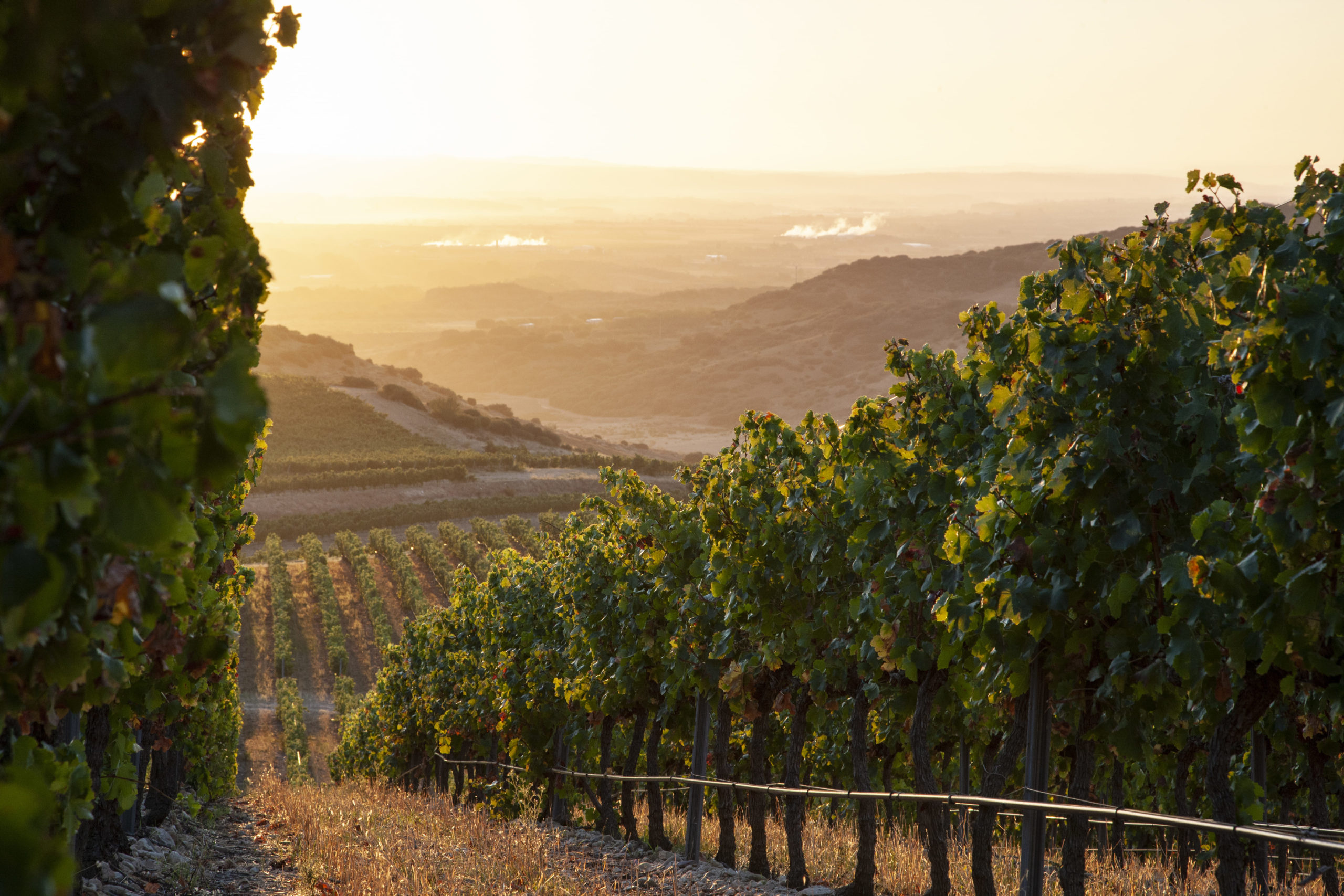 Baron de Ley