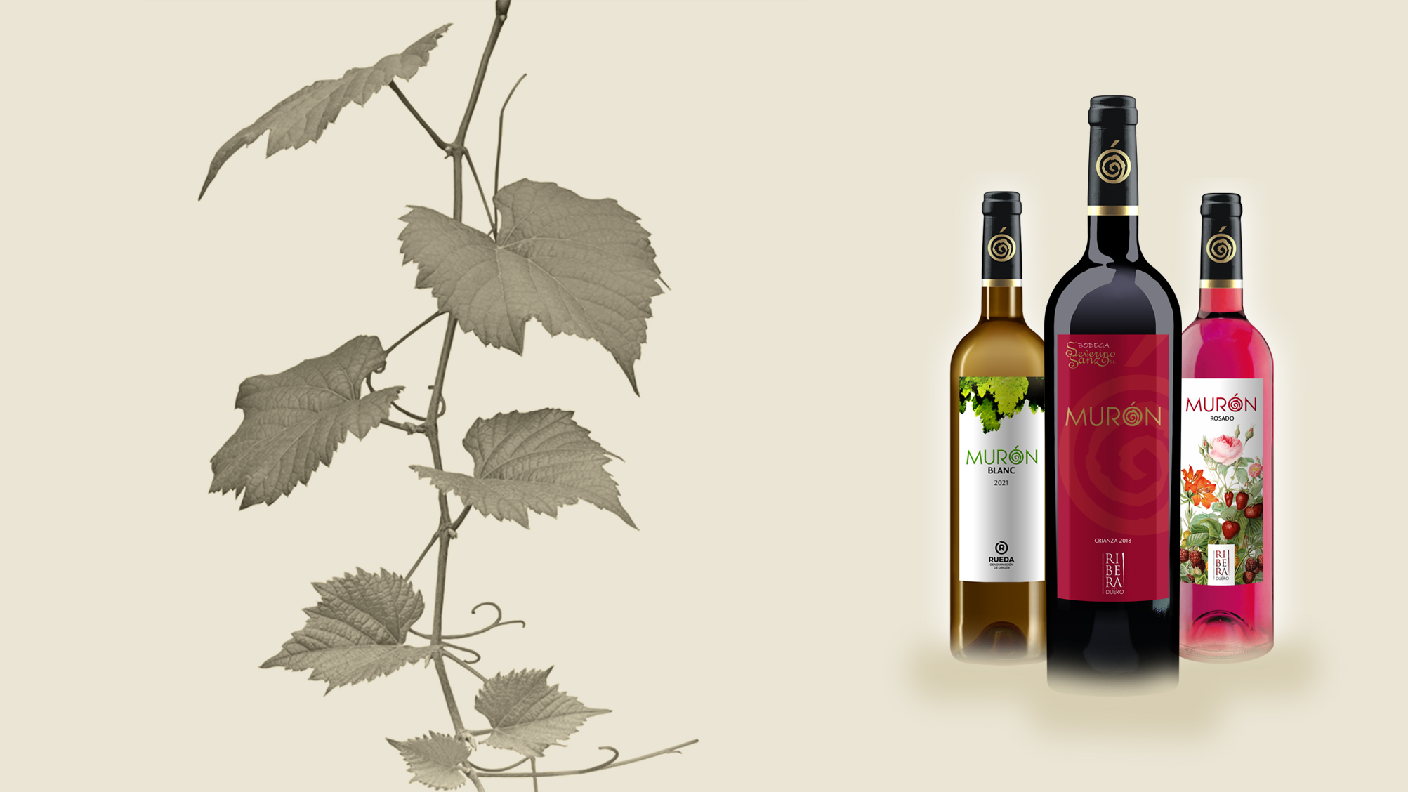 Bodega Severino Sanz, S.L.