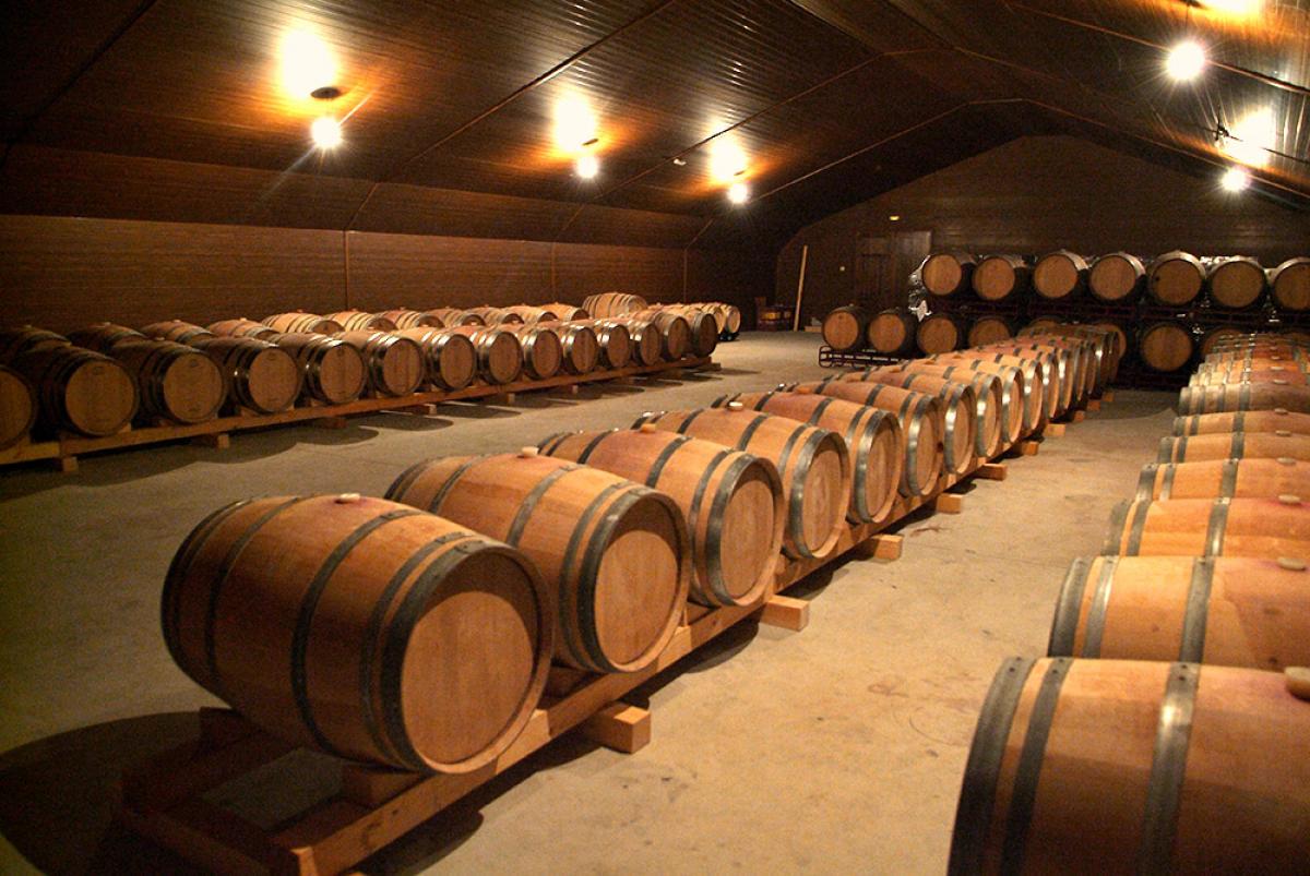 Ego Bodegas