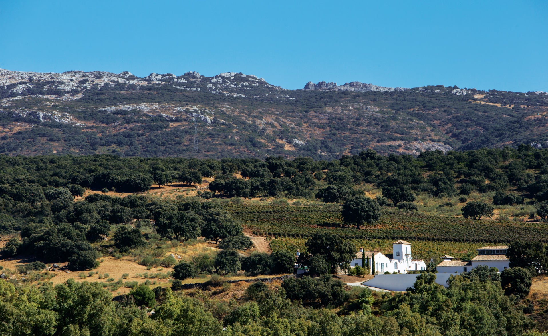 Cortijo Los Aguilares