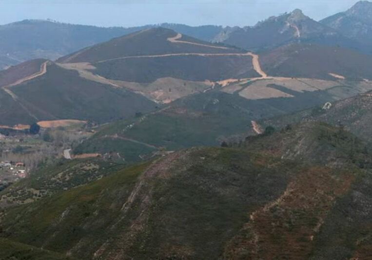 Bodegas Ruiz Torres