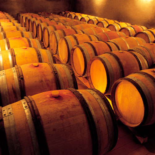 Bodegas y Viñedos Castroventosa, S.L.