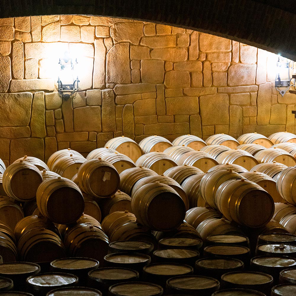 Castillo Aresan