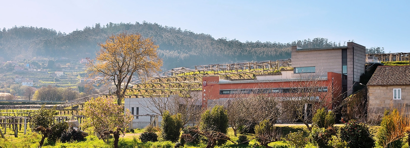 Bodegas Carballal
