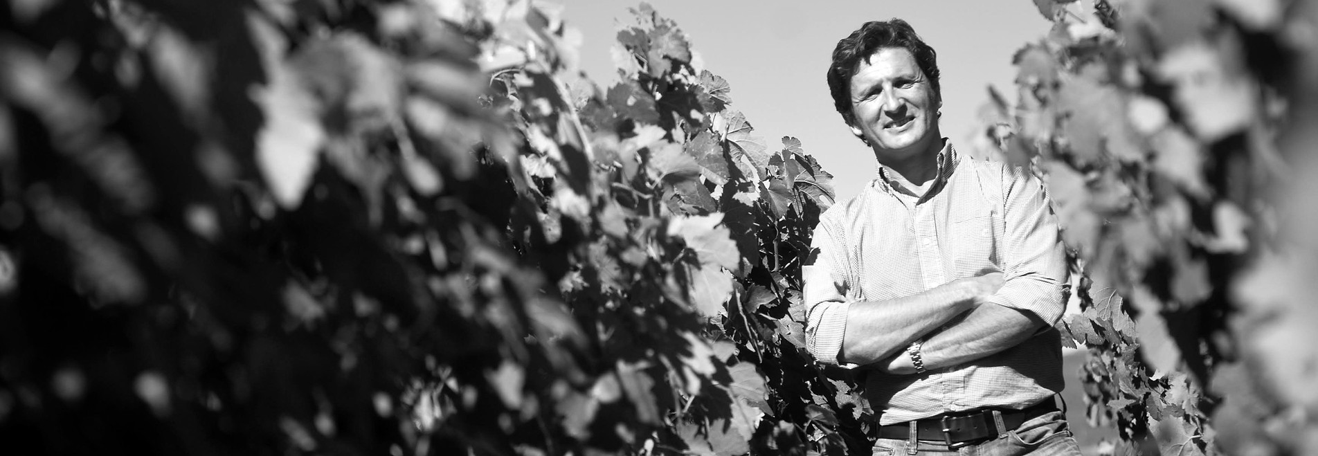 Bodega Rafael Palacios