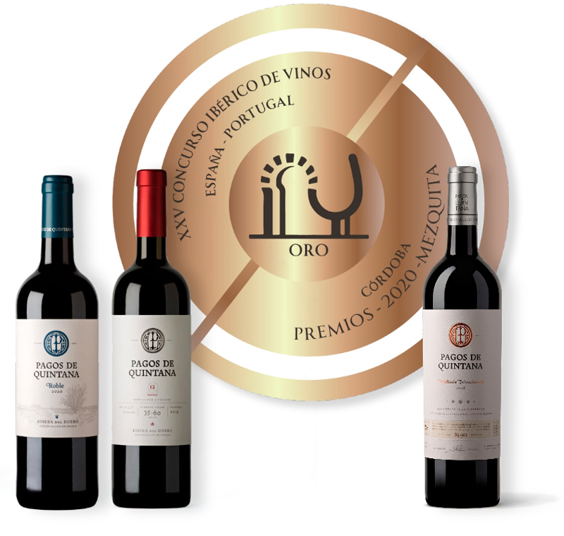 Bodegas del Campo, S.L.