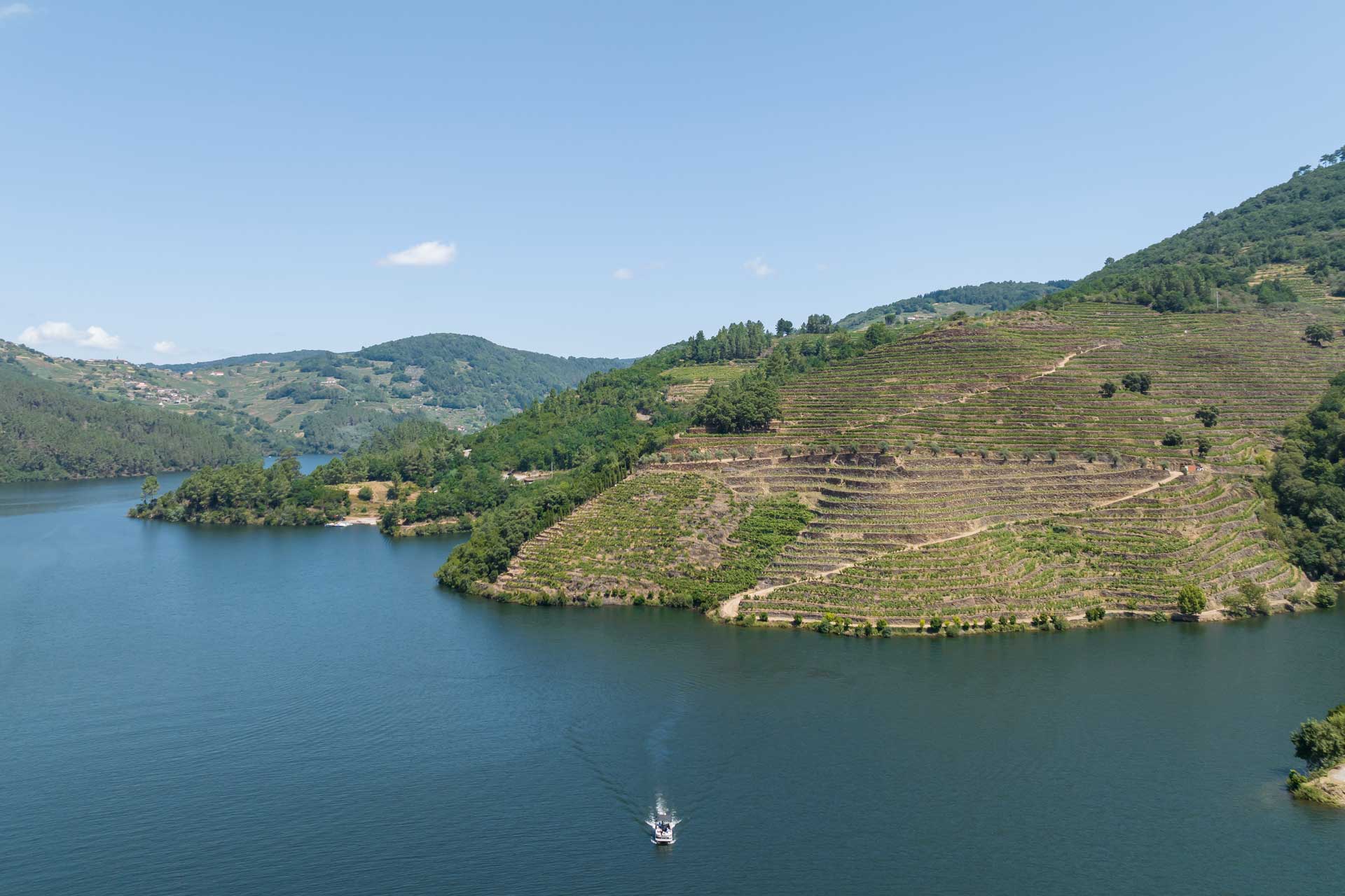 Finca Míllara Bodegas y Viñedos S.R.L.