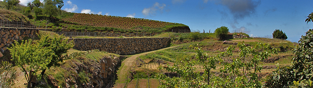 Bodega Eufrosina Pérez Rodriguez