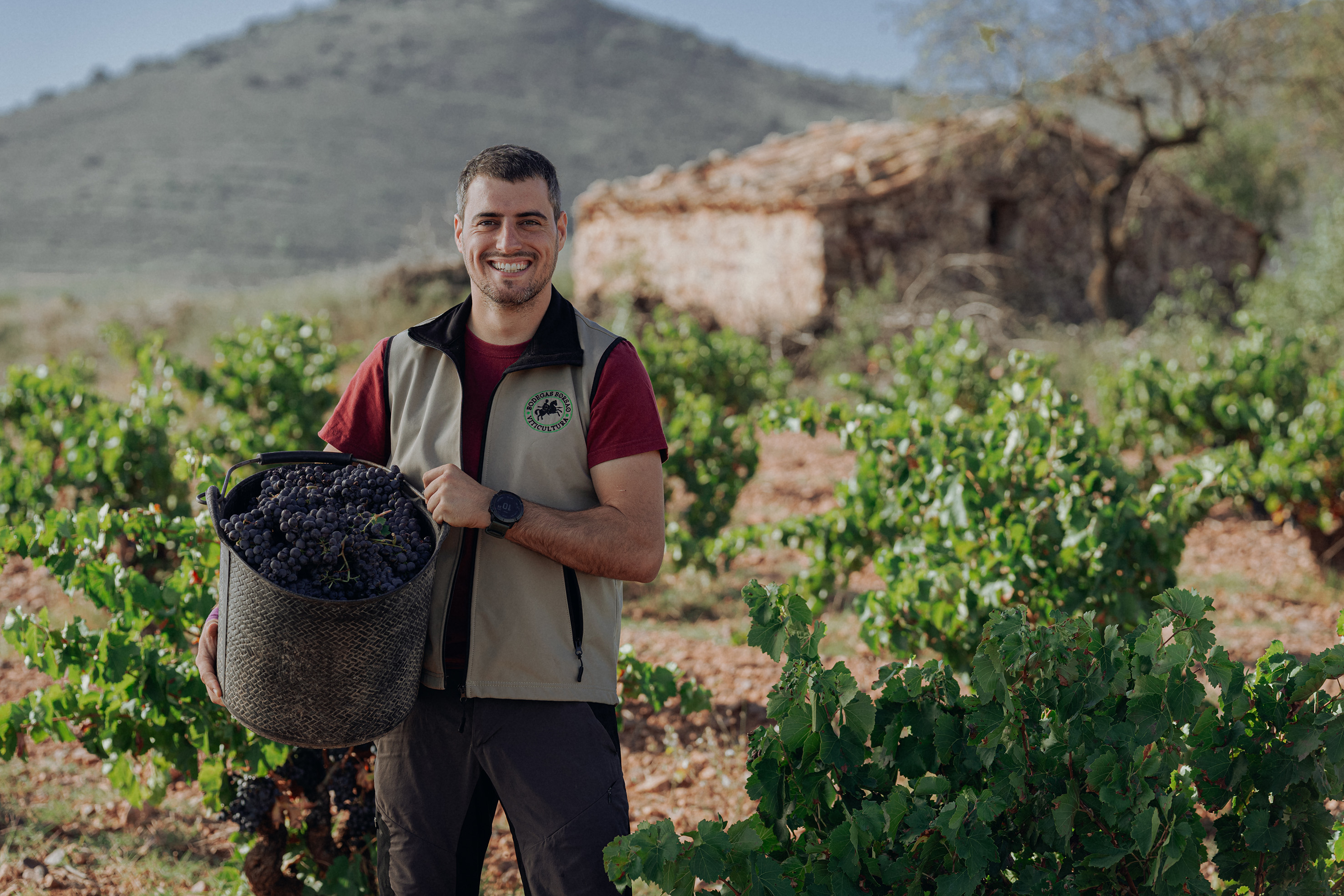 Tienda de Bodegas Borsao