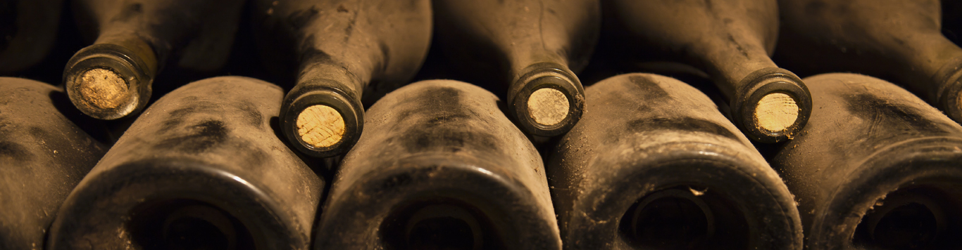 Bodegas Ibañesas De Exportación S A