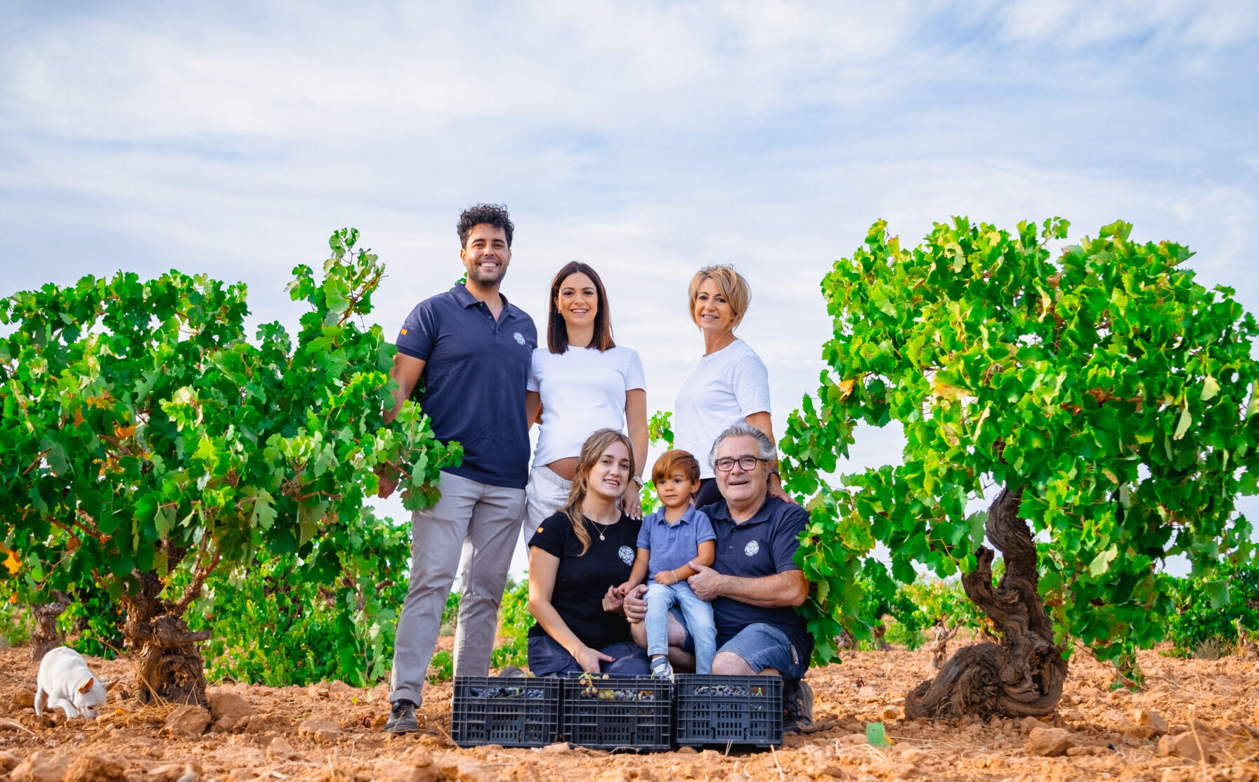 Bodega Vega Tolosa