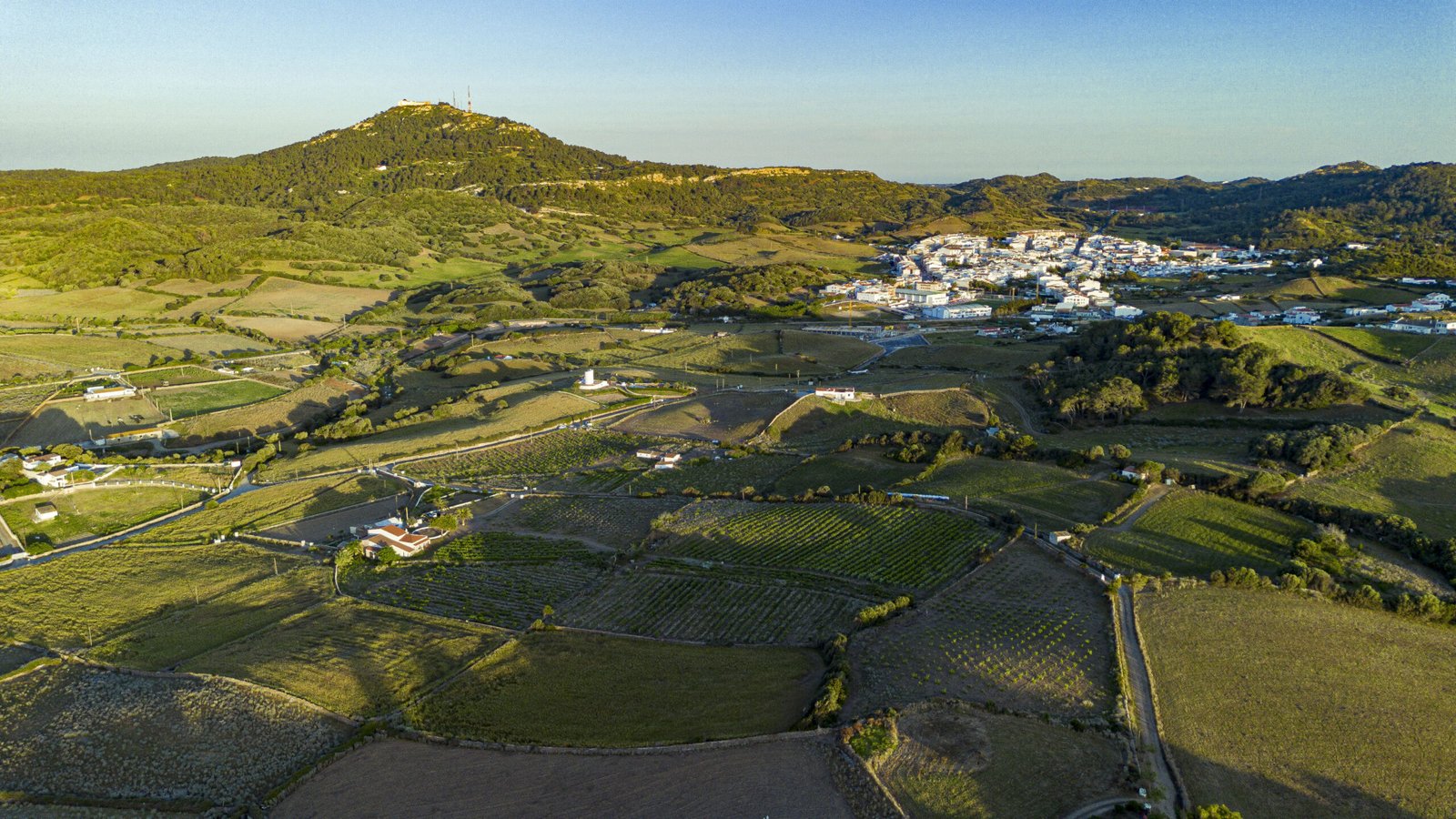Bodegas Menorquinas