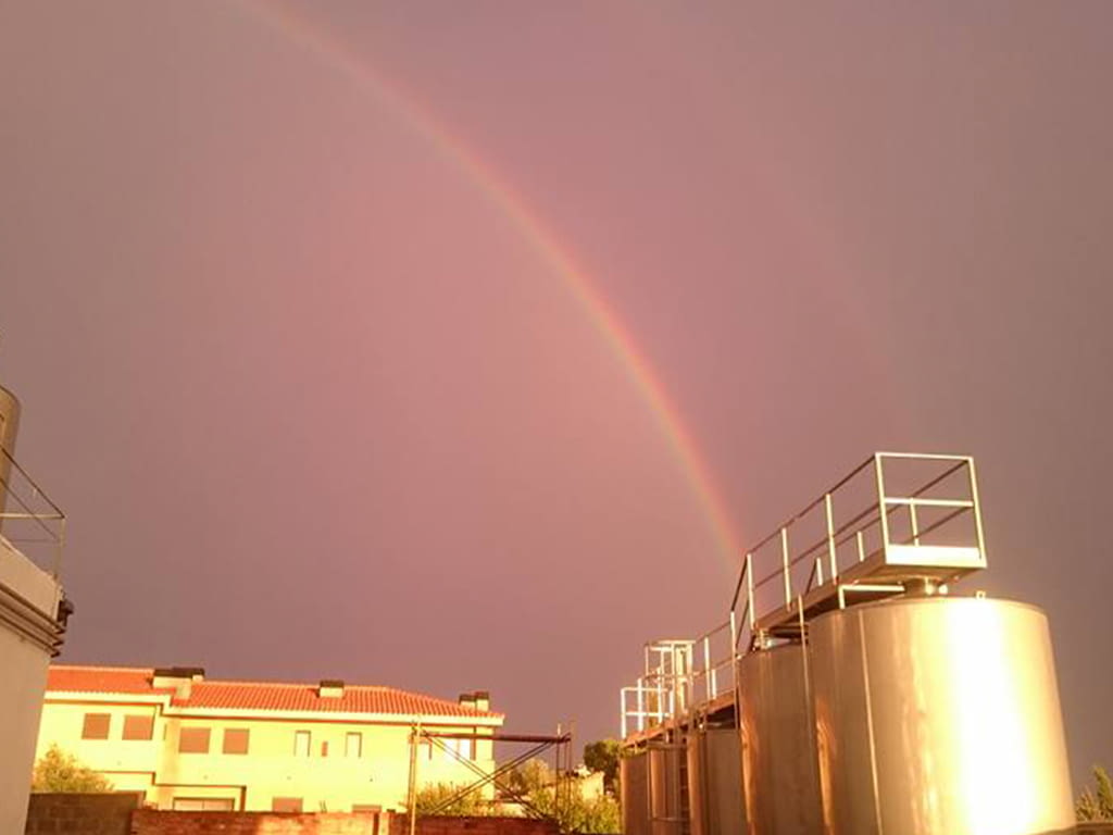 Cellers Carviresa