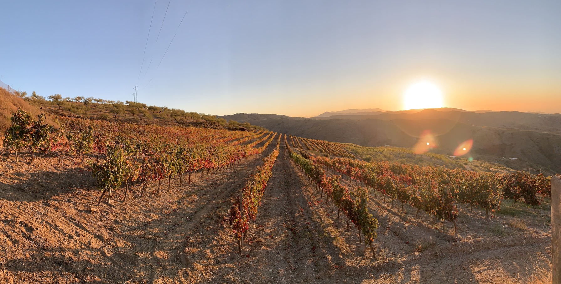 Vinos Y Bodega Piedras Blancas