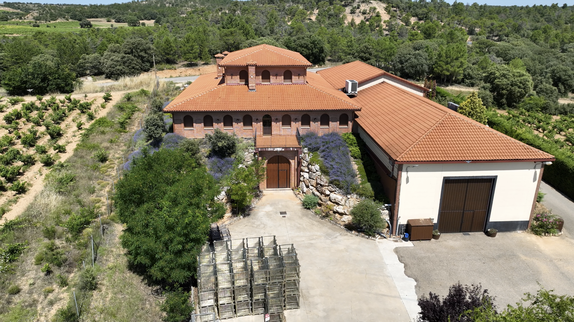 Bodegas Prado De Olmedo, S.L.