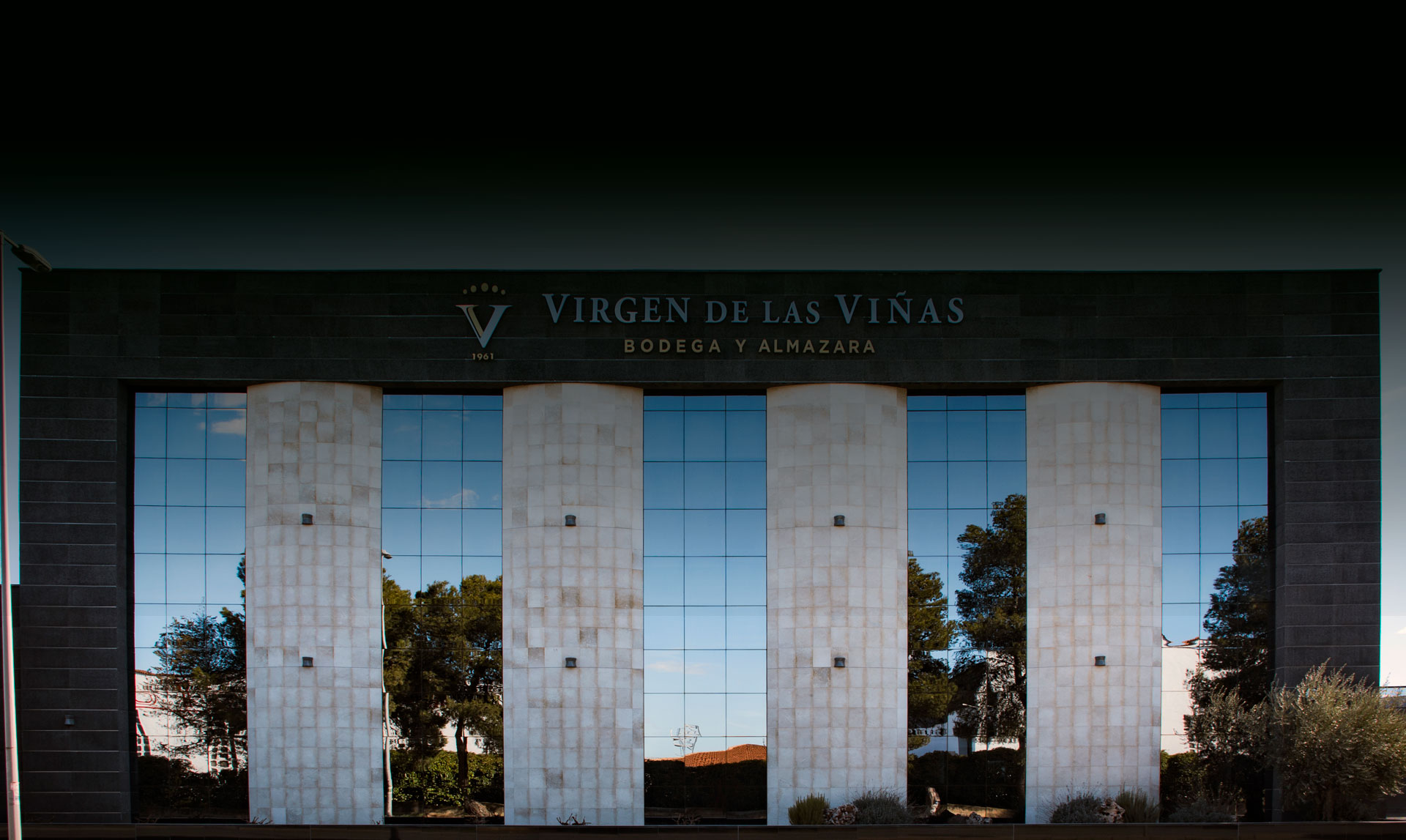 Virgen de las Viñas Bodega y Almazara