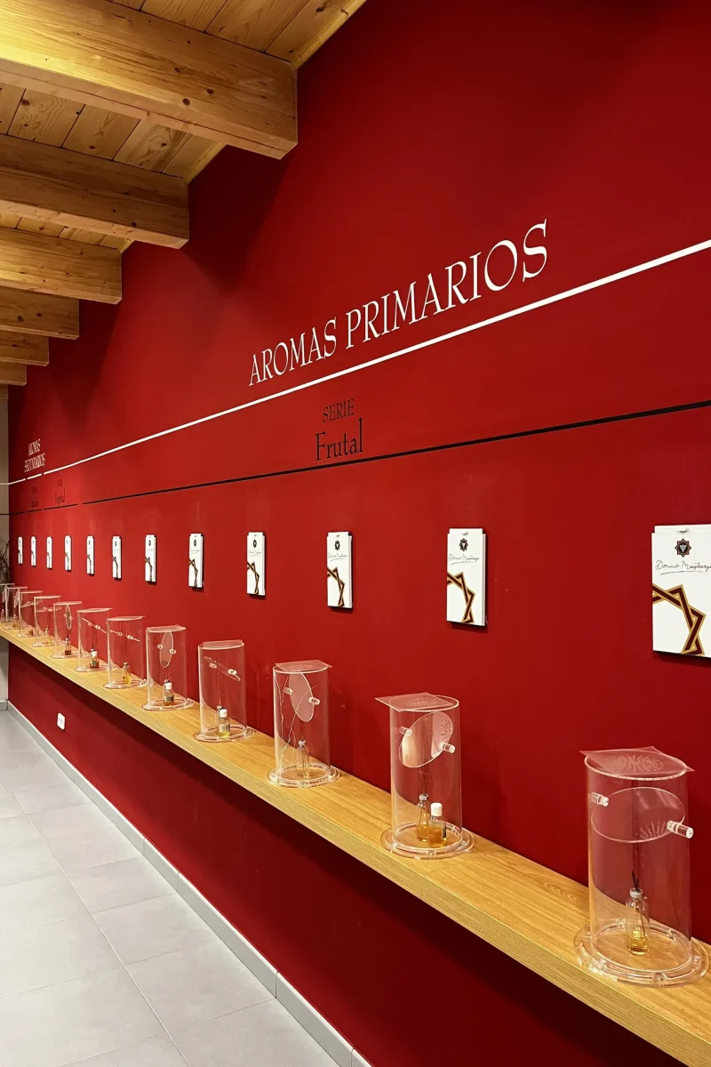 Bodega Dominio Maestrazgo