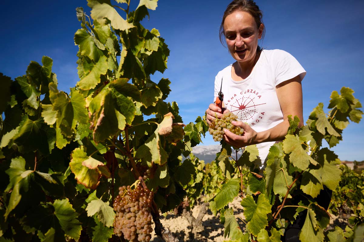 Bodega Elena Corzana