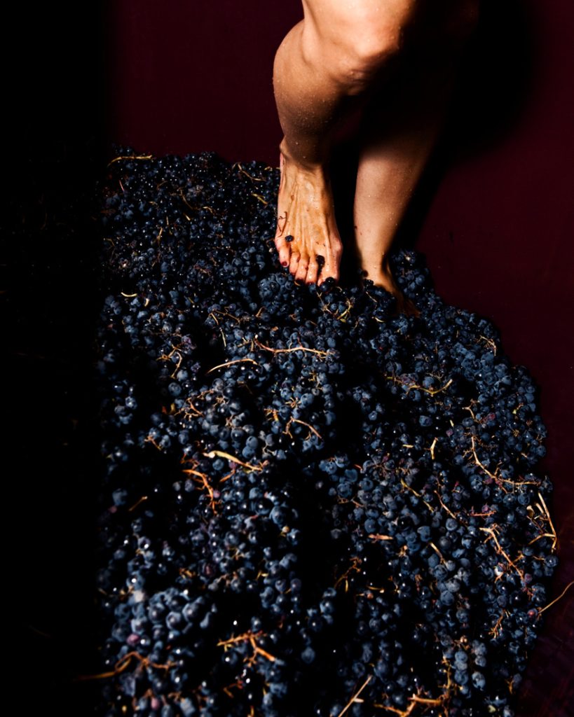 Mas Martinet Viticultors