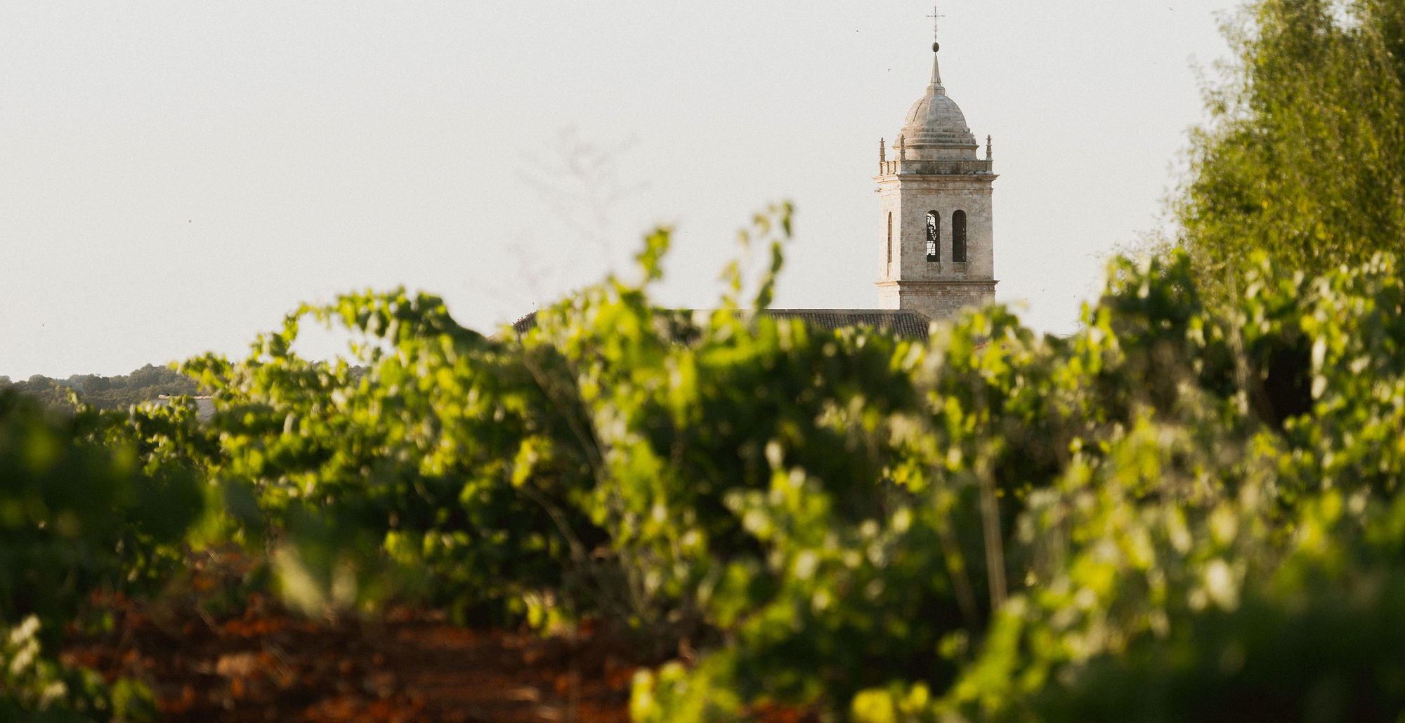 Bodega Cooperativa Santa María de los Remedios