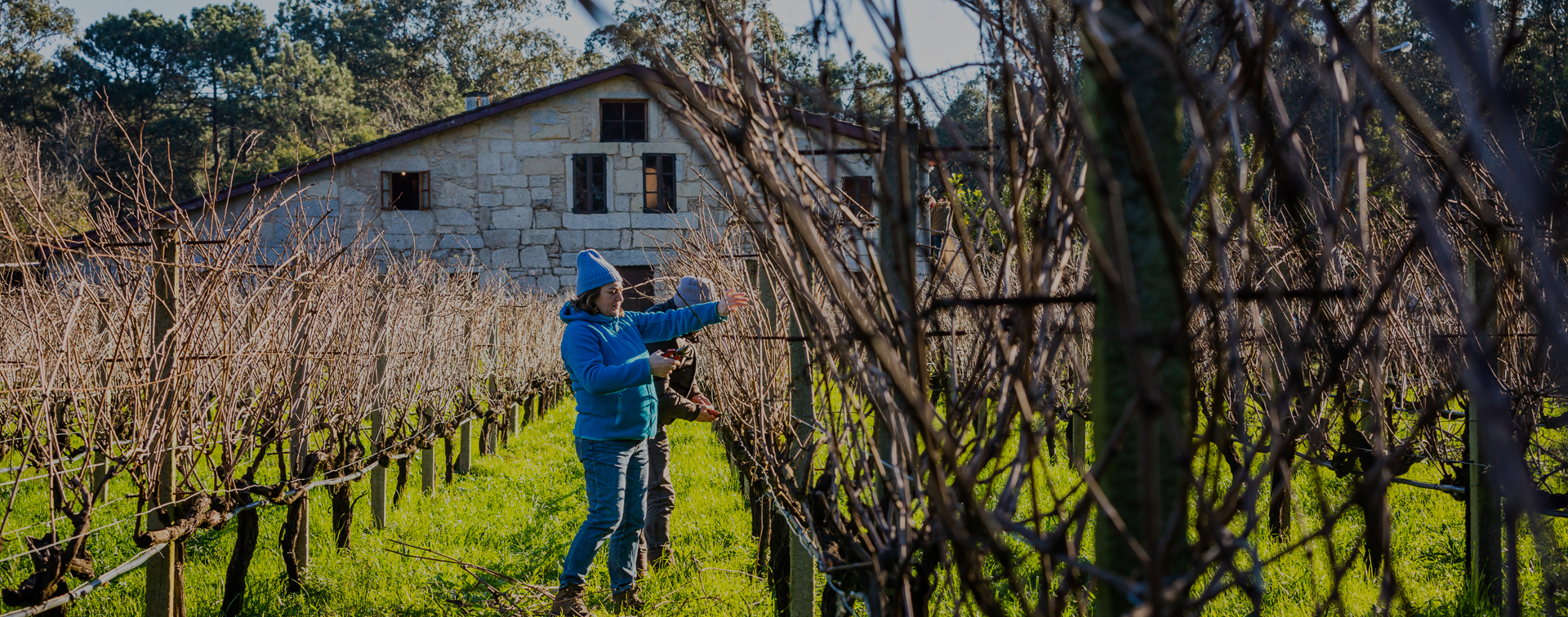 Bodegas Corisca