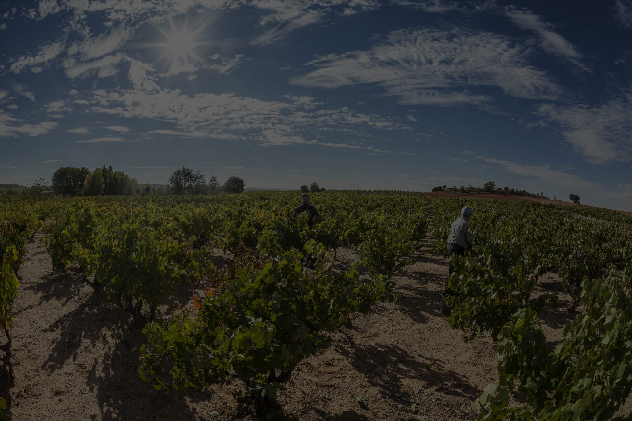 Bodegas Valdelacierva