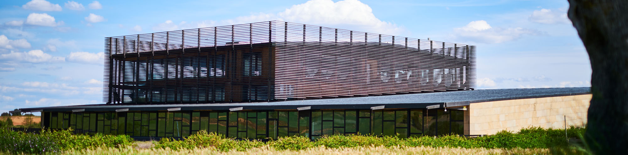 Bodega Bela - Ribera del Duero