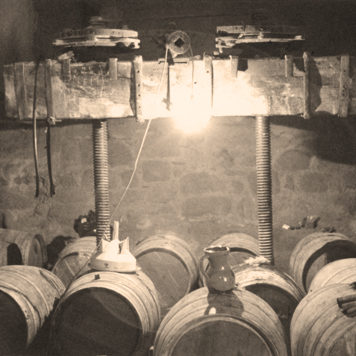 Mentoste Bodega
