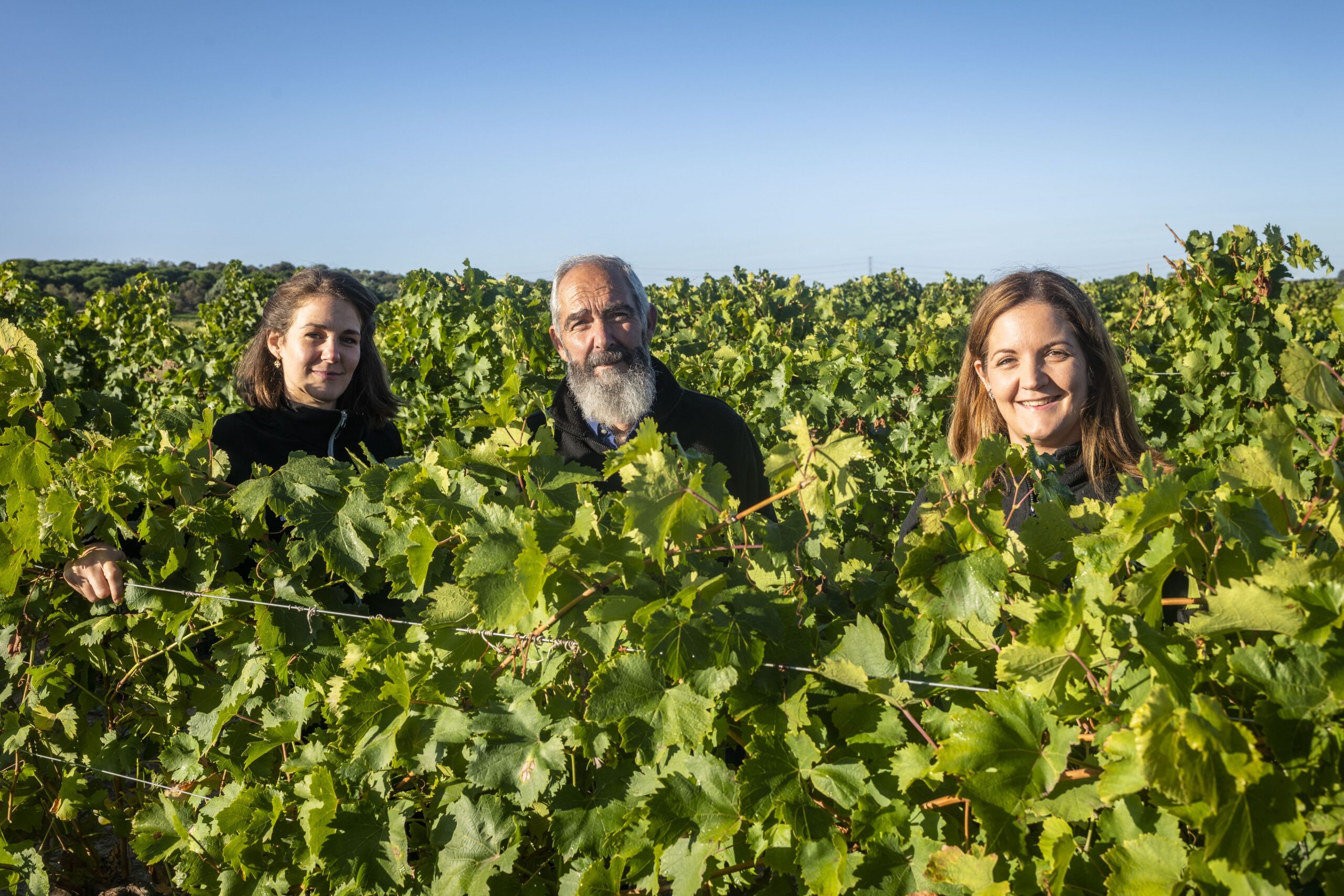 Bodegas Muelas Tordesillas, C.B.