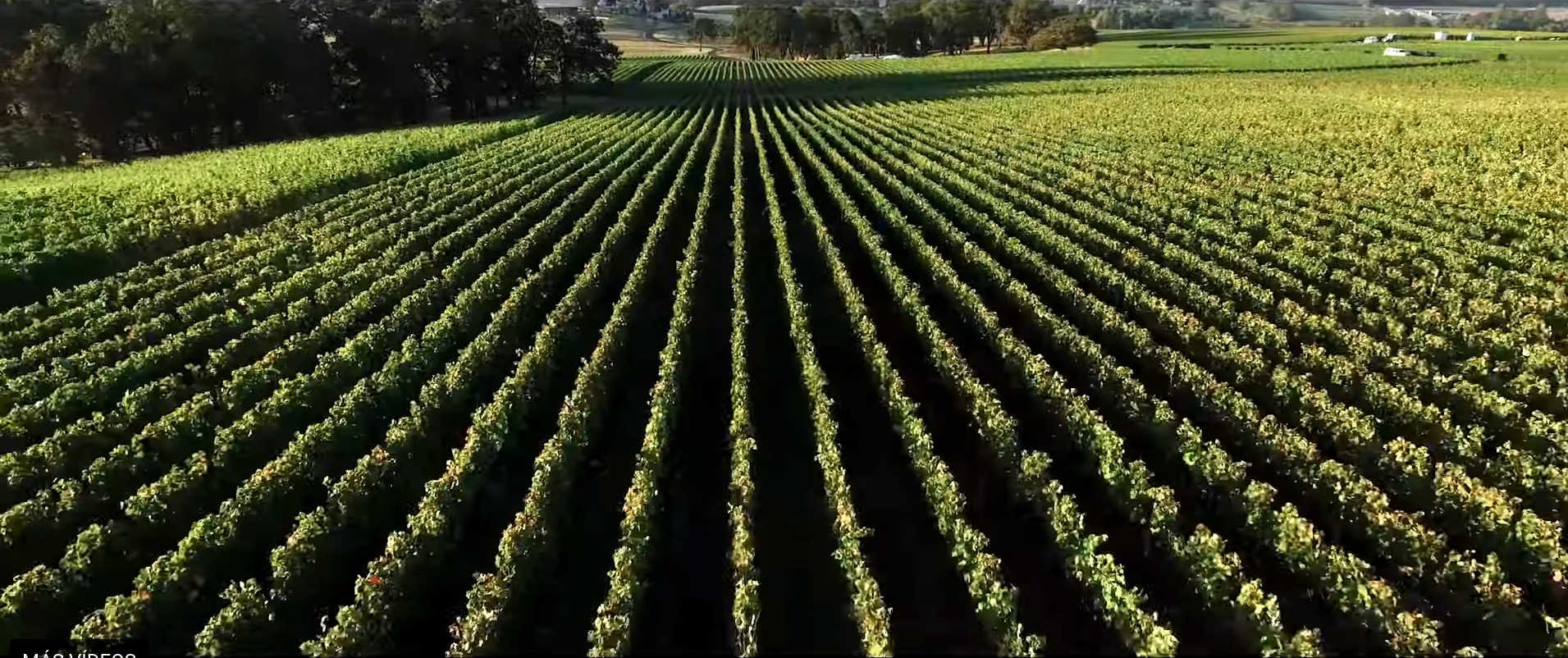Bodegas Rioja Alta S.A.
