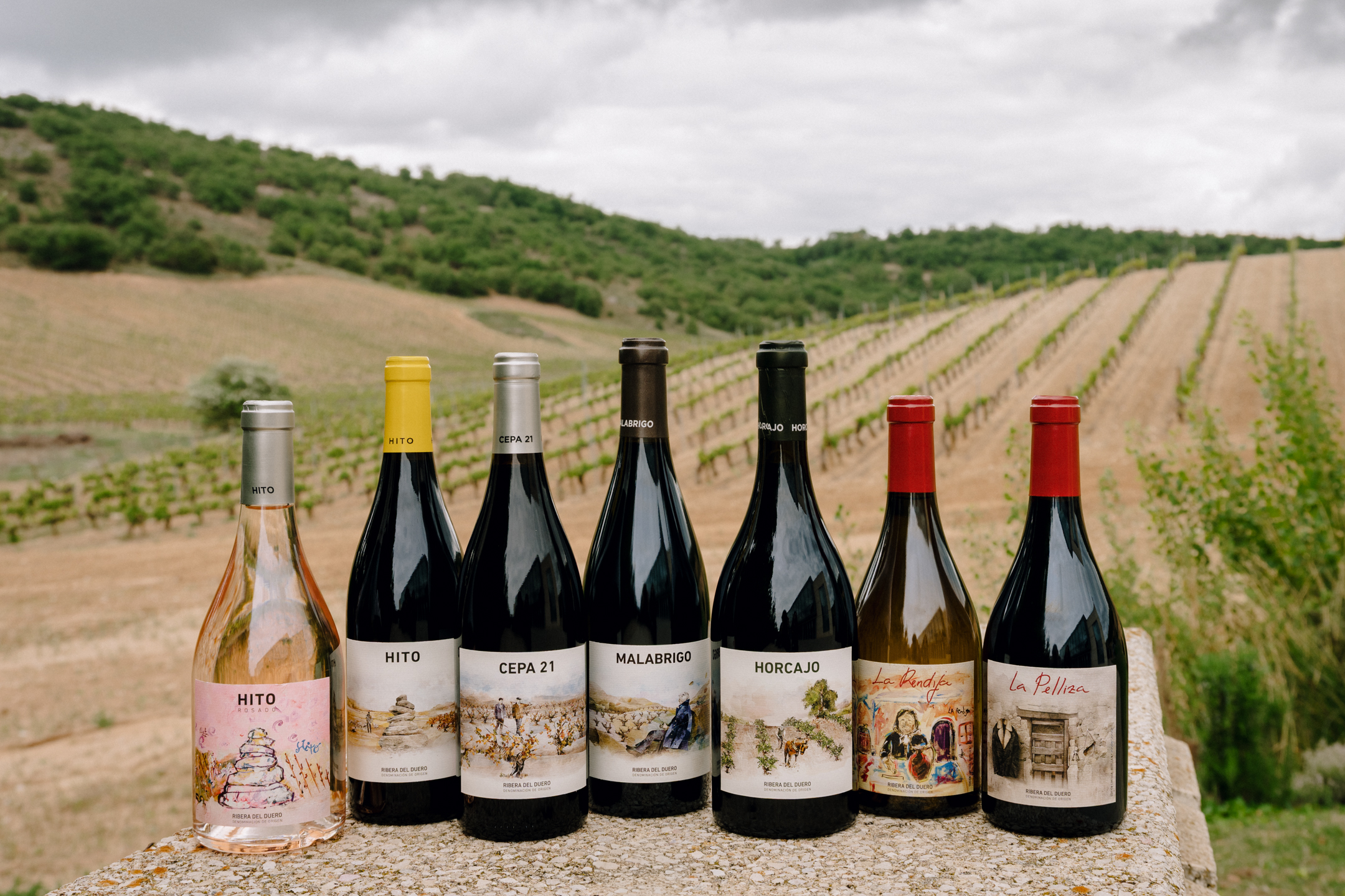 Bodegas Cepa 21, S.A.