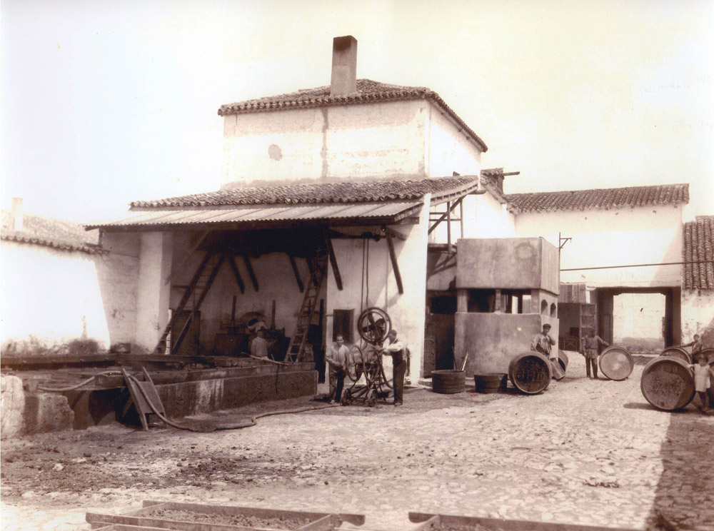 Bodegas y Viñedos Castiblanque