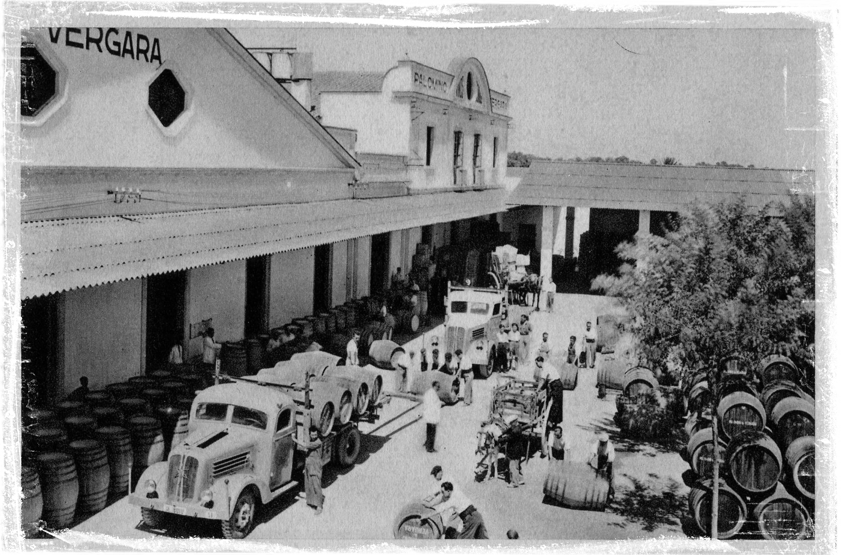 Bodega Palomino y Vergara