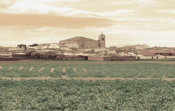 COOP. SAN ISIDRO DE VVA.ALCARDETE- Bodega Pingorote