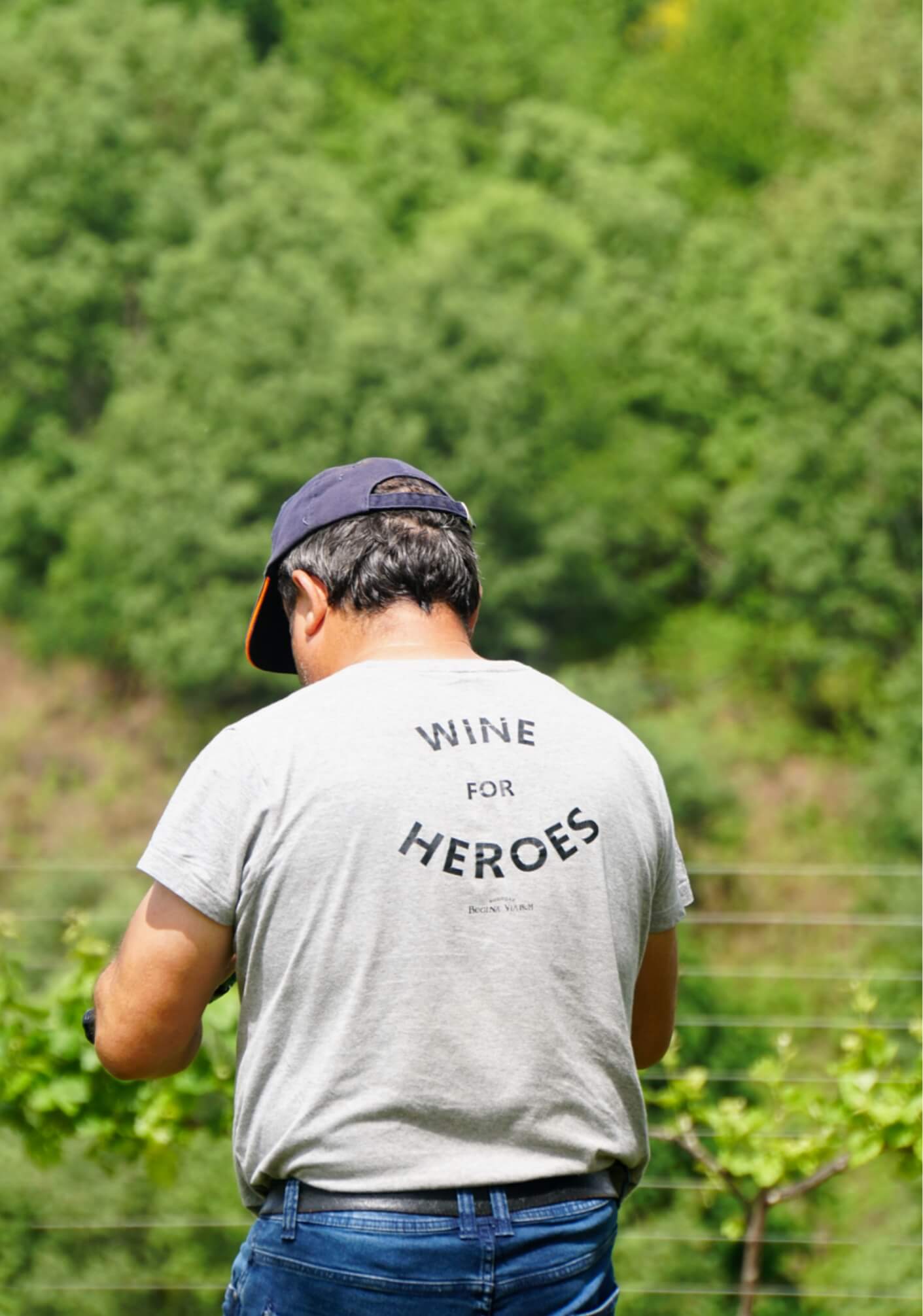 Bodegas Regina Viarum