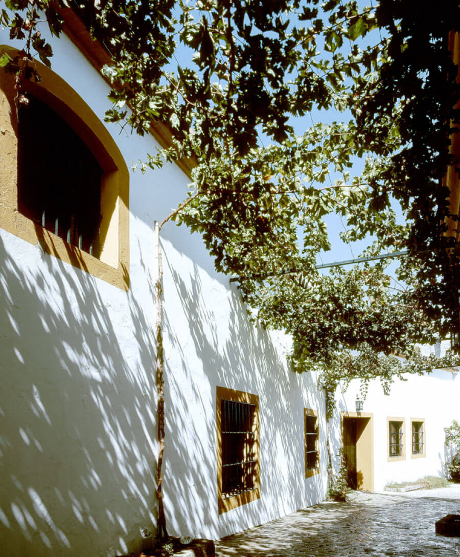 Bodegas Rey Fernando de Castilla