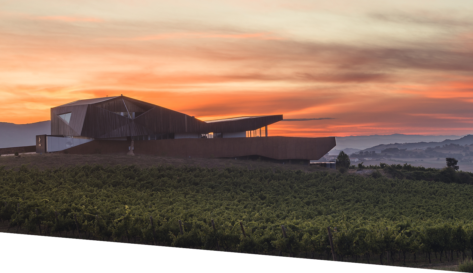 Bodegas Aroa