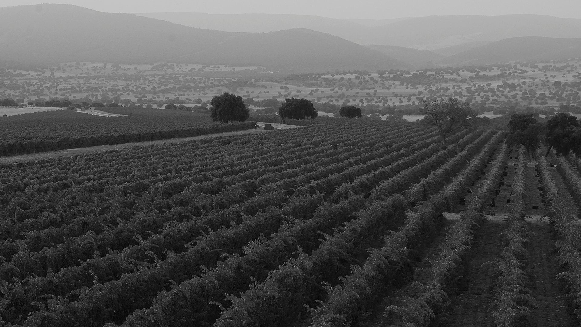 Bodegas de Vallegarcía