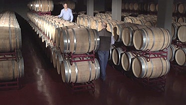 Bodegas Amador Garcia
