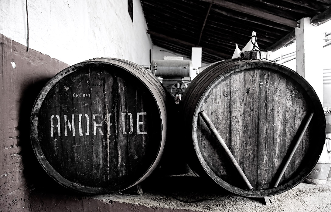Bodega Castillo de Andrade