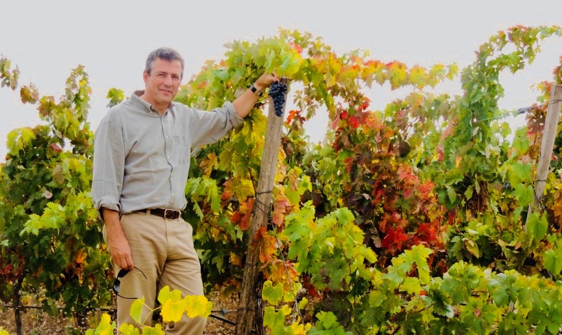 Bodegas Bohórquez, S.L.