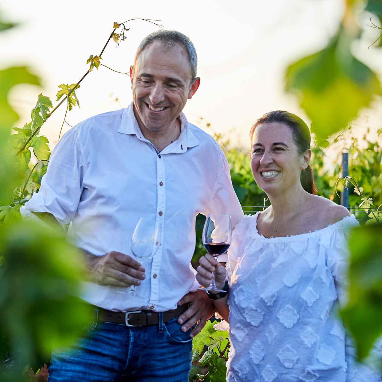 bodega Miquel Oliver