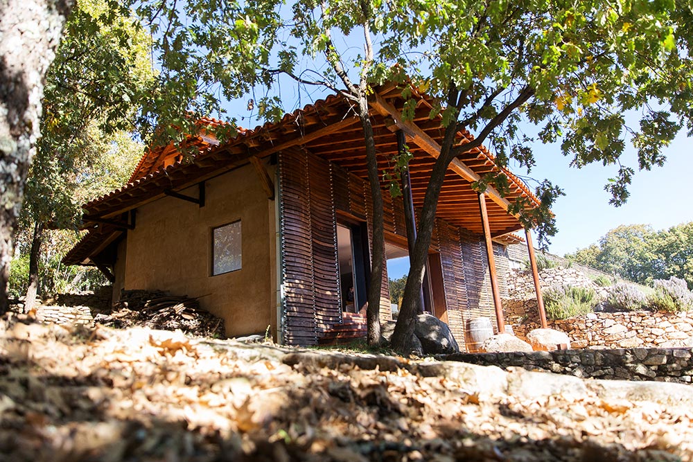 Bodegas Cámbrico