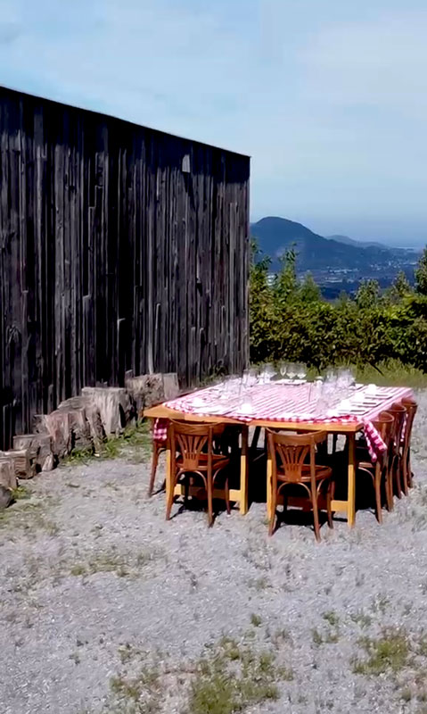 Bodega Berroja