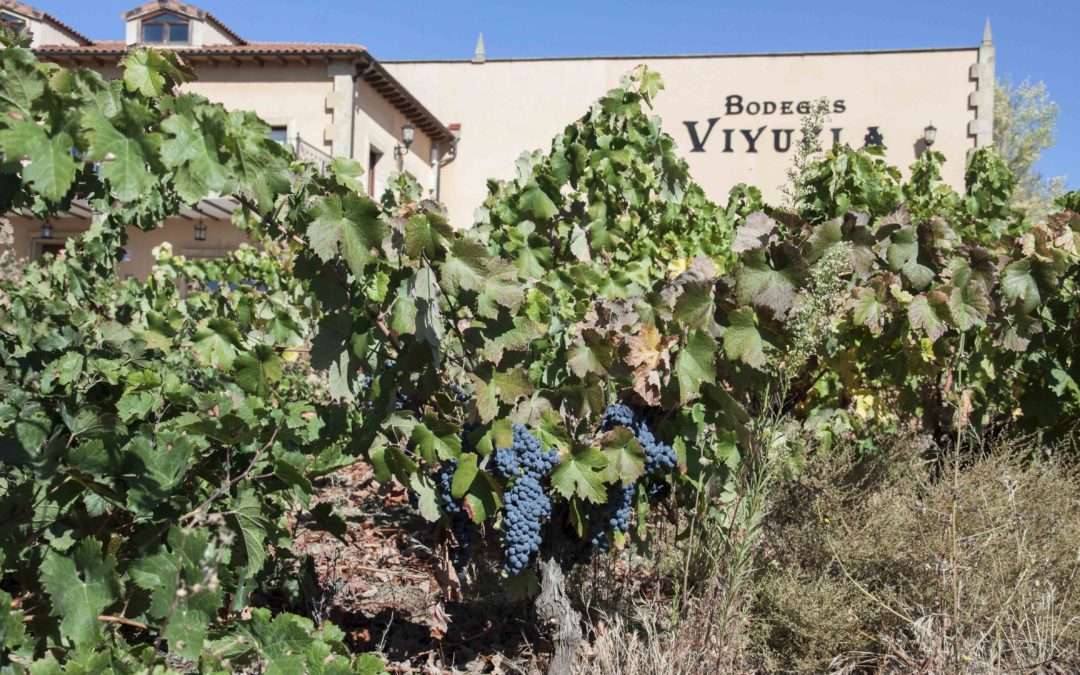 Bodegas Viyuela, S.L.