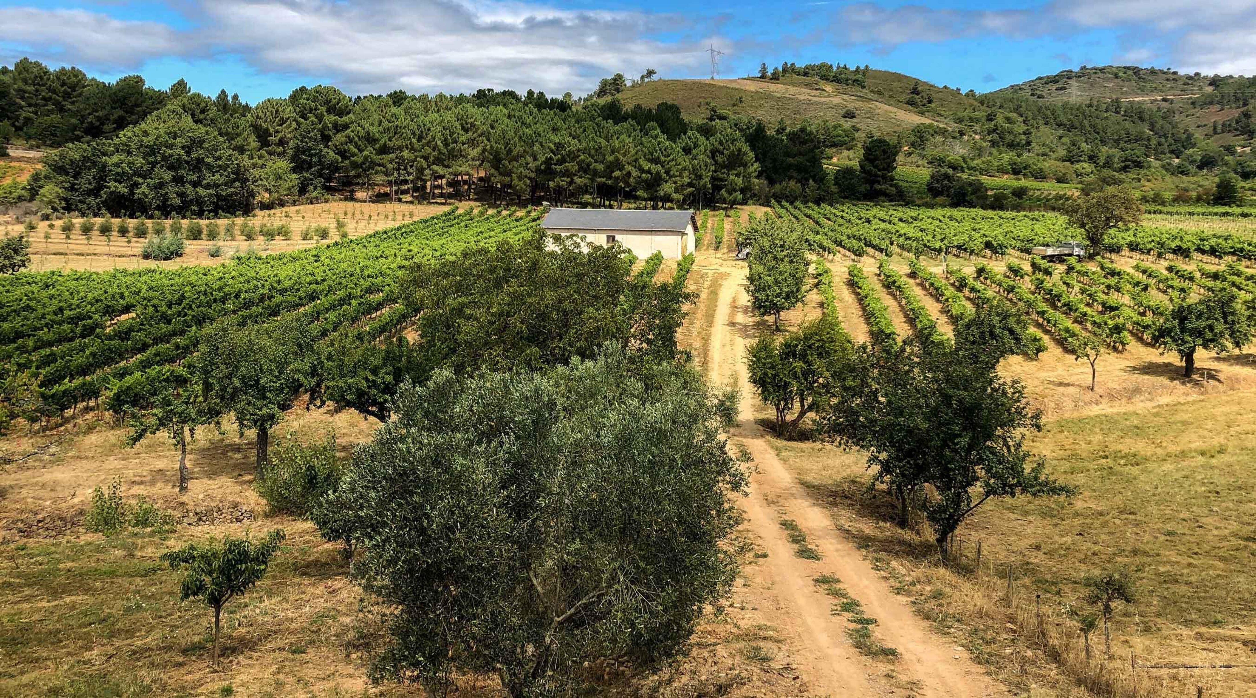 Finca Esencial