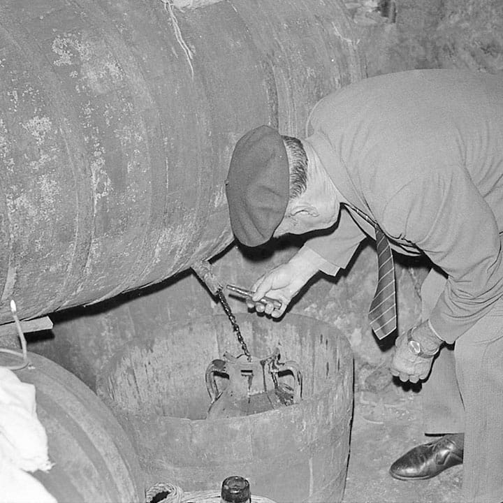 Bodegas Servilio-Arranz, S.L.