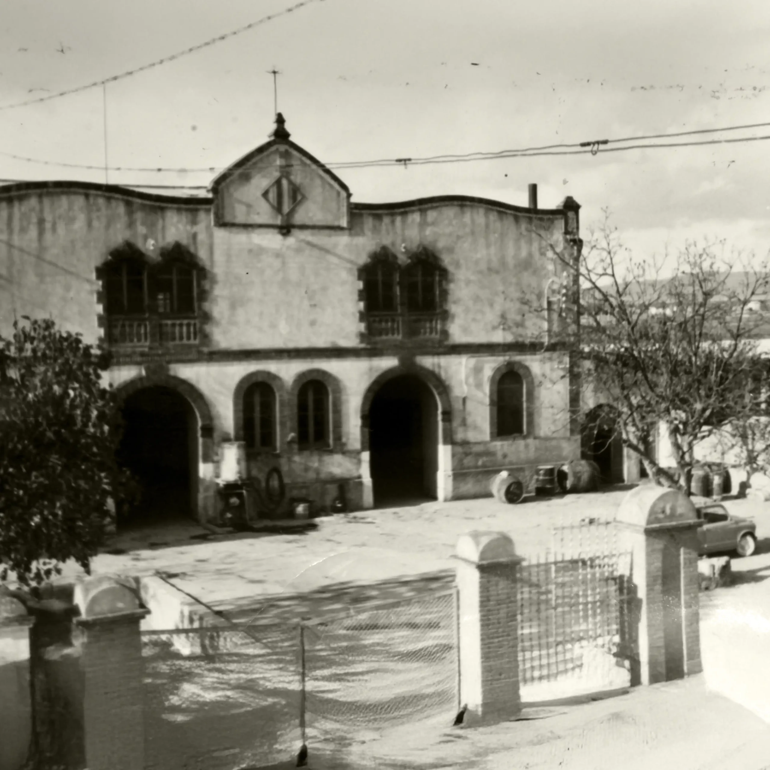 Celler Vins Padró